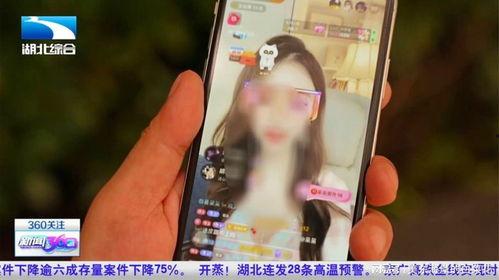 求成人手机视频在线,在线娱乐的无限可能