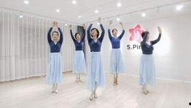 古典舞成人芭蕾视频,成人芭蕾舞者的优雅蜕变之旅