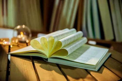 成人高考先看书还是视频,先看书还是视频，策略选择揭秘