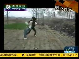 农村成人摔跤视频大全集,传承民间技艺的精彩瞬间