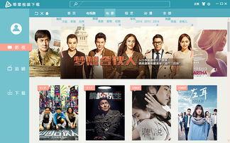 成人合唱发声视频播放软件,成人合唱发声视频播放软件深度解析