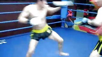 散打成人训练视频