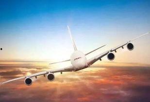 飞机玩具成人解放双手视频,轻松解放双手，体验科技育儿新风尚